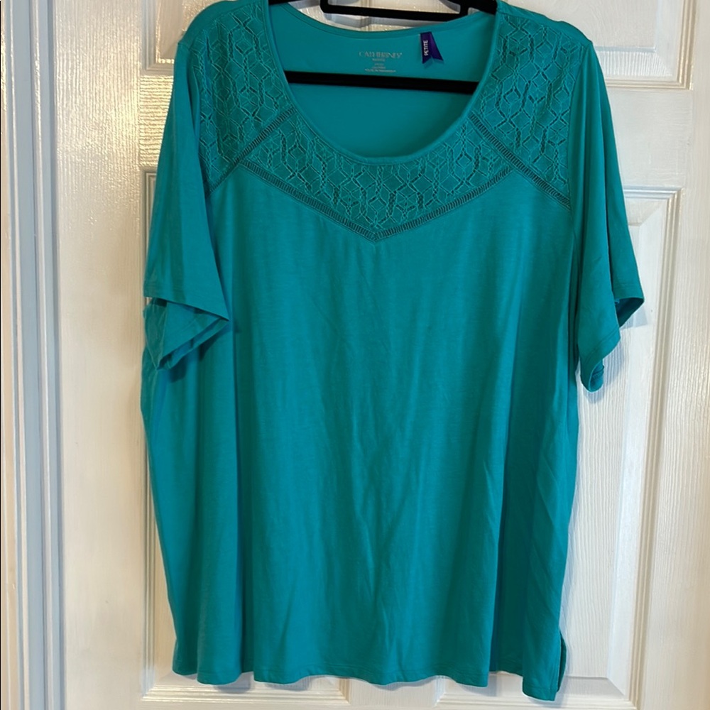 Catherines Blue Blouse with Scoop Neckline and Short Sleeves